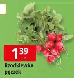 E.Leclerc Rzodkiewka pęczek Leclerc oferta