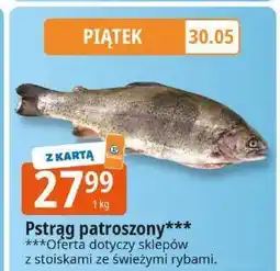 E.Leclerc Pstrąg patroszony Leclerc oferta