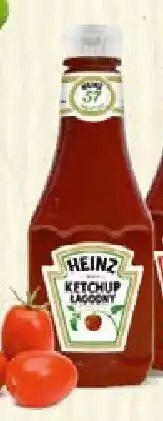 Chorten Ketchup Heinz pikantny Pudliszki-Heinz oferta