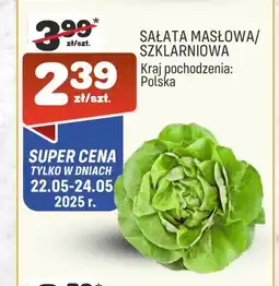 Społem Sałata masłowa oferta