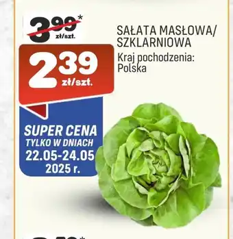 Społem Sałata masłowa oferta