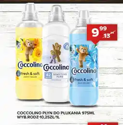Spiżarnia Smakosza Płyn do płukania Coccolino oferta
