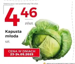 Frac Kapusta młoda oferta