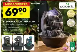Biedronka Fontanna Gardenic oferta