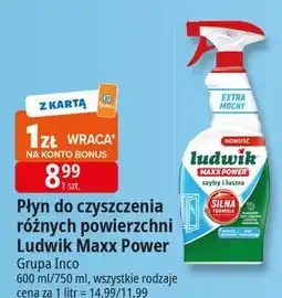 E.Leclerc Płyn do syzb i luster Ludwik Maxx Power oferta