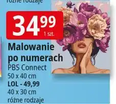 E.Leclerc Malowanie po numerkach lol 40 x 30 cm Pbs Connect Polska oferta