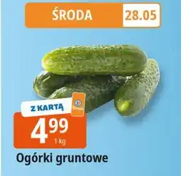 E.Leclerc Ogórek gruntowy oferta