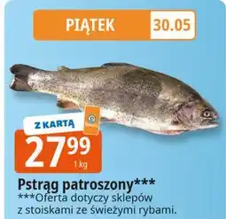 E.Leclerc Pstrąg patroszony oferta