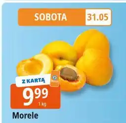 E.Leclerc Morele oferta