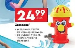 Biedronka Zraszacz słonecznik oferta