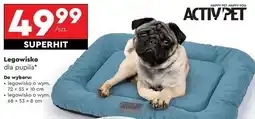 Biedronka Legowisko dla pupila 68 x 53 8 cm Activ Pet oferta