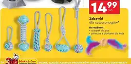 Biedronka Piłka dla kota oferta