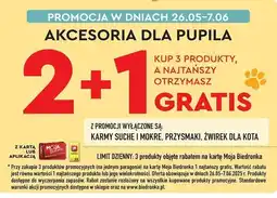 Biedronka Akcesoria dla pupila oferta
