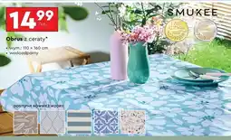 Biedronka Obrus z ceraty 110 x 160 cm Smukee oferta