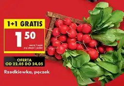 Biedronka Rzodkiewka oferta