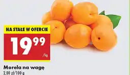 Biedronka Morela na wagę oferta