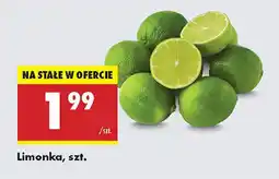 Biedronka Limonka oferta