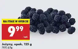 Biedronka Jeżyny oferta