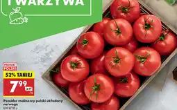 Biedronka Pomidor malinowy polski oferta