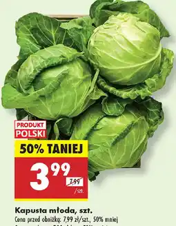 Biedronka Kapusta młoda oferta