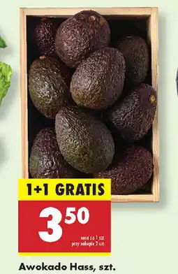 Biedronka Awokado Hass oferta