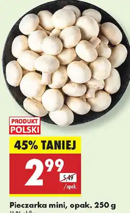 Biedronka Pieczarka mini oferta
