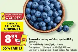 Biedronka Borówka amerykańska oferta