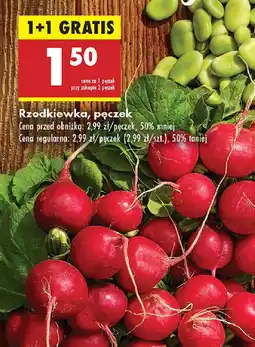 Biedronka Rzodkiewka oferta