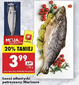 Biedronka Losoś atlantycki patroszony Marinero oferta