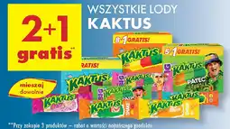 Biedronka Lody Kaktus oferta