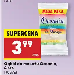 Biedronka Gąbki do masażu Oceania oferta