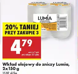 Biedronka Wkład olejowy do zniczy Lumia oferta