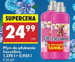Biedronka Płyn do płukania Coccolino oferta
