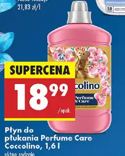 Biedronka Płyn do płukania Perfume Care Coccolino oferta