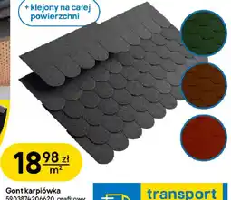 Castorama Gont karpiówka oferta
