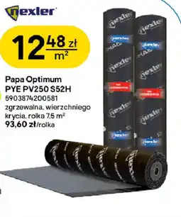Castorama Papa Optimum PYE PV250 S52H oferta