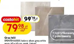 Castorama Gres Will oferta