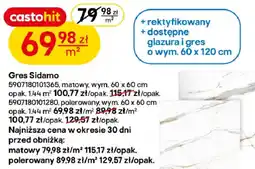 Castorama Gres Sidamo oferta