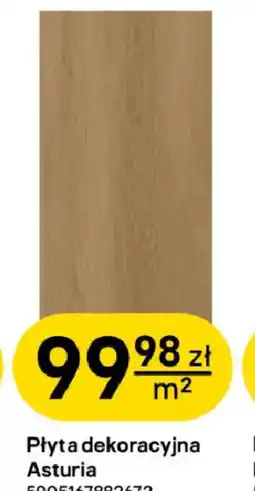 Castorama Płyta dekoracyjna Asturia oferta