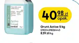 Castorama Grunt Active oferta