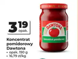 Odido Koncentrat pomidorowy Dawtona oferta