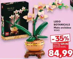 LEGO Botanicals Mała orchidea 10343