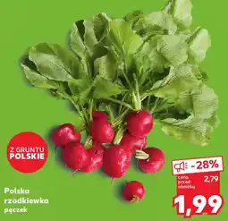 Kaufland Polska rzodkiewka oferta
