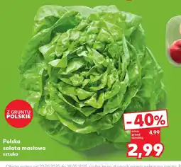 Kaufland Polska sałata masłowa oferta