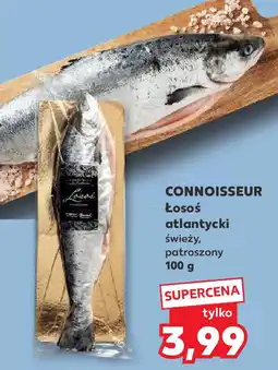 Kaufland Losoś atlantycki Connoisseur oferta