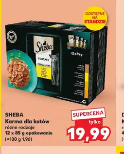 Kaufland Karma dla kotów Sheba oferta