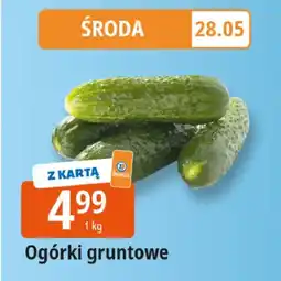 E.Leclerc Jaja z chowu na wolnym wybiegu L Leclerc oferta