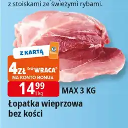 E.Leclerc Morele Leclerc oferta