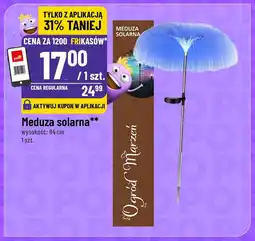 Polomarket Meduza solarna oferta