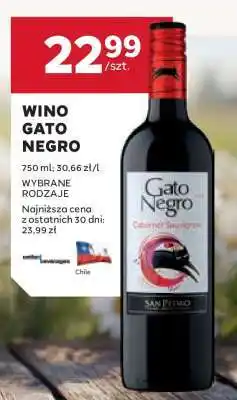 Stokrotka Market Wino Gato Negro oferta